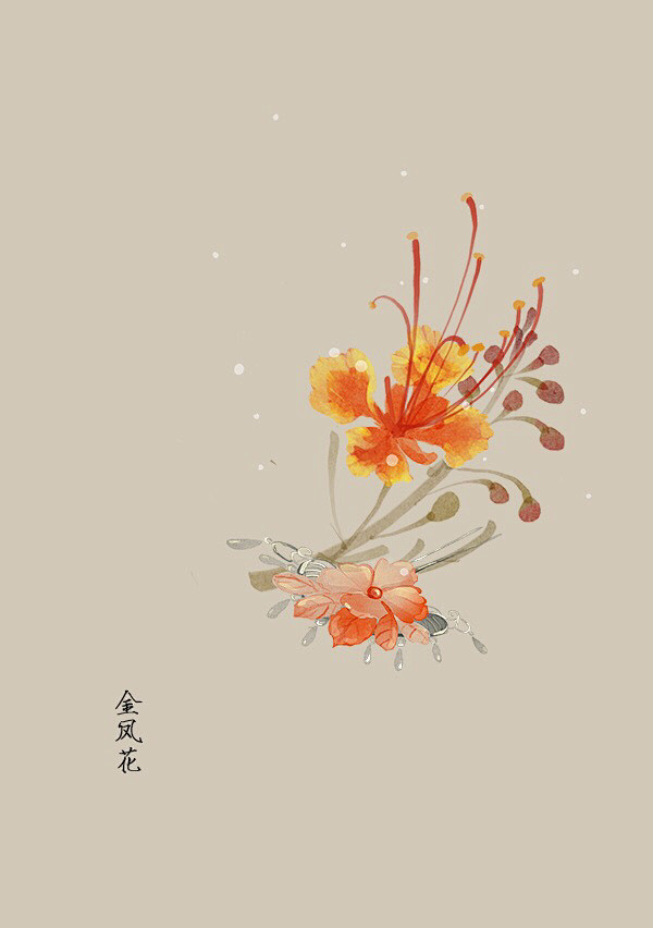 水彩 植物花卉 插画 artistic青...