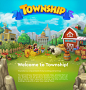 Township project overview