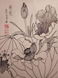叶志军先生的钢笔白描花卉作品