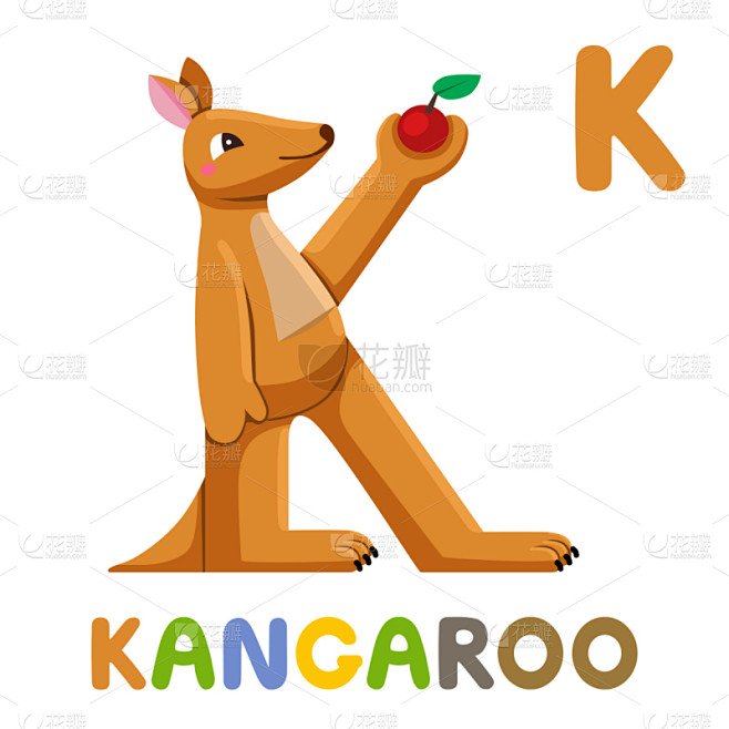 可爱的,动物,袋鼠,英文字母K,单词,闪...