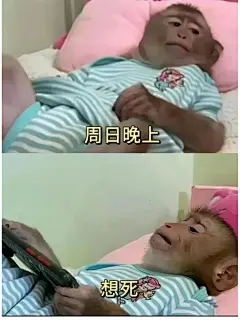 打工人表情包 - 小红书