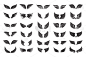 翅膀,绘画插图,轮廓,计算机图标,矢量,黑色,波兰,对称,自由,野生动物