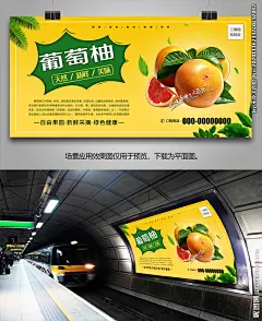 葡萄柚灯箱单页挂画海报展架展板