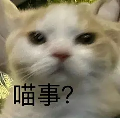 猫猫表情包！！！_06