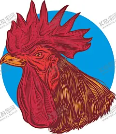 公鸡图标 【酷图网】公鸡,公鸡logo,鸡,植物图标,花卉图标,动物图标,鸟类图标,logo设计,绿色logo,名片logo,公司logo,几何图标,企业logo,logo素材,创意logo标识,商业,图标,卡通图标,食品图标,医疗图标,简洁logo,logo标志,标志徽标,简约花纹,欧式花纹,花边,房产logo