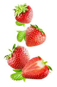 摄影-生活／美食