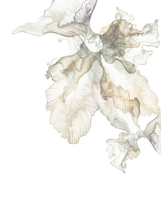 Piet Boon Styling by...