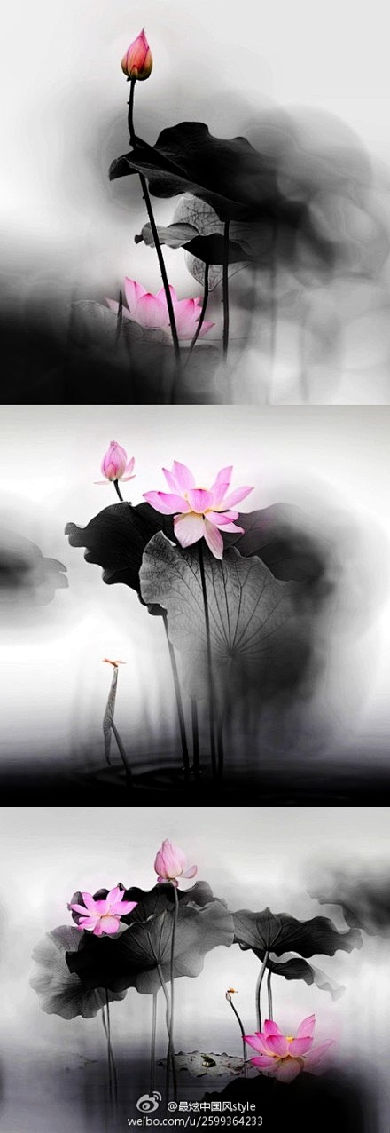 爱像水墨青花，何惧刹那芳华