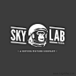 Skylab Productions国外Logo设计欣赏