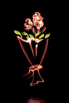 花 创意 花 摄影 长曝光 光绘 涂鸦 光线 灯光 虚拟 光涂鸦 光迹 静物 - 7MX.COM