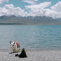 @一百个大不刘   背景图