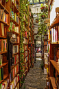 Une magnifique et insolite librairie à Montevideo, Uruguay More