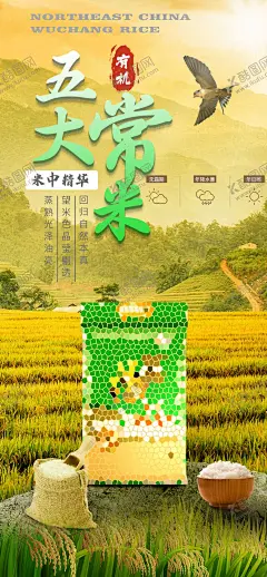 东北五常大米海报 【酷图网】海报,粮食,东北,黑龙江,五常大米,有机大米,