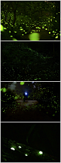 萤火虫之森，台湾嘉义人称之为星-17