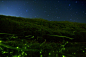星空萤火，晚安，夏天。摄影师 MASAHIRO MIYASAKA（宮坂雅博）（1600x1066）