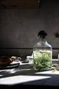 Get the recipe for this Fennel-Infused Verjus Cocktail | @localmilk + @westelm