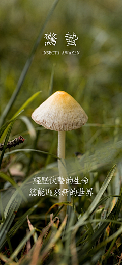 极简design采集到节气/季节