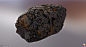 Lichen Black Rock, , ScansLibrary - CGSociety
