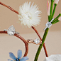 Enchanted Lotus 玫瑰金戒指 : 这款璀璨夺目的18K玫瑰金钻石戒指属于Enchanted Lotus系列，其设计灵感源自纯洁的莲花。 

这款戒指勾勒出这种富有寓意的花朵绽放的绰约姿态。圆形明亮式切割钻石周围环绕密镶钻石，更有镶嵌着密镶钻石的镂空花瓣簇拥。 

这件珠宝共镶有301颗圆形明亮式切割钻石，钻石总重约1.17克拉。每颗钻石均每一颗钻石皆遵循道德采购规程，由戴比尔斯钻石专家团队逐一甄选，并手工镶嵌。
