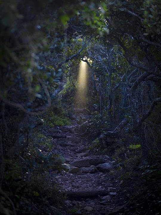 The Secret Light