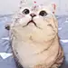 一袋米杠几楼
