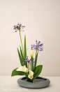 Style Moribana - Art floral Ikebana More