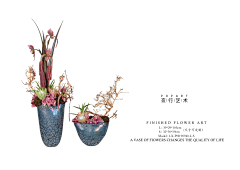 赛yoo~啦啦采集到PNG-花花草草·树叶