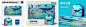 海洋40-70CM 调位置 包装设计 画儿晴天海洋主题拼图玩具插画 鲸鱼、海豚 海马 章鱼 海马 水母 海龟 蝠鲼鱼……#插画# #创意儿童美术[超话]# #插画[超话]# #鲸鱼# #拼图插画# #海洋插画# #拼图[超话]# 