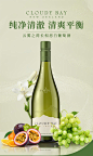 云雾之湾新西兰 长相思 白葡萄酒 原瓶进口 保税仓直发 云雾之湾长相思 750mL 1瓶 -裸瓶【图片 价格 品牌 报价】-京东