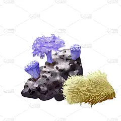 珊瑚礁。不同颜色的息肉。手绘水彩插图上的白色背景