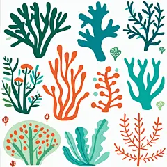 植物珊瑚海藻素材图片