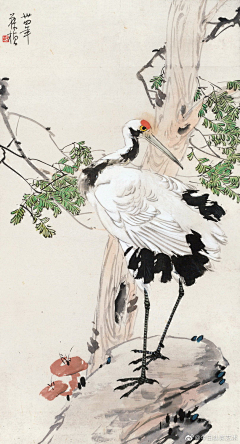 风哥设计采集到手绘