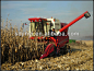 6000MM, 190HP (Turbocharging) Sunflower Harvester 4YZ-6