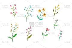 水彩插画艺术设计，集彩色花卉在水彩手绘风格孤立在白色的背景，图案元素的邀请贺卡