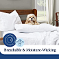 Cosy House Collection Luxury Bamboo Standard Size Pillowcases - Silver Pillowcase Set of 2 - Ultra Soft & Cool Natural Bamboo Blend Cover - Resists Stains& Wrinkles : Home & Kitchen