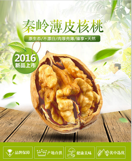 薄皮核桃海报_素材中国sccnn.com