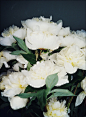 white peonies © Nicole Franzen | Table | Pinterest