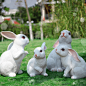 仿真动物园林景观雕塑小品兔子户外花园庭院草坪装饰品幼儿园摆件-淘宝网