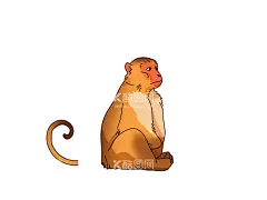 卡通猴子插画  - 源文件下载【酷图网】猴子,孙猴子,卡通小猴子,棒棒糖,卡通,插图,插画,Q版,卖萌,猴哥,悟空,眼睛,头像,漫画,十二生肖,猴年,属猴,宝宝,玩具,童装,儿童图案,儿童素材,幼儿园,儿童,娃,宝贝,公仔,毛绒玩具,孕婴店,婴儿,猴子漫画,卡通猴子,猴子素材,小猴子,宠物,萌宠,卡通头像