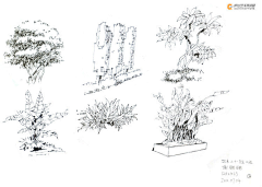 吾不知采集到手绘-植物及单体练习