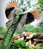 mmexport1510459787509.webp