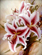 俄罗斯画家艾格尔·利亚索(Igor Levashov)花卉油画作品  |  1964年出生于俄罗斯的莫斯科，他对花卉有很浓厚的兴趣，对花卉画的技巧表现出强大的技术实力，与老派的技术形成了鲜明的对比。他的画被俄罗斯民族国家画廊，荷兰海牙博物馆以及希腊阿尔斯梅尔等收藏。(转)