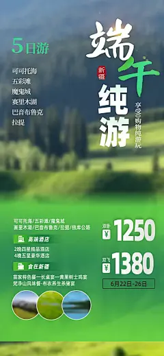 端午节粽子节日宣传海报