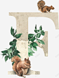 动植物英文字母f高清素材 元素 页面网页 平面电商 创意素材 png素材