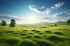 小草大自然摄影图