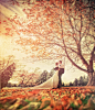 秋天的婚礼 - 丶奥特曼的寂寞采集到美图 - 花瓣