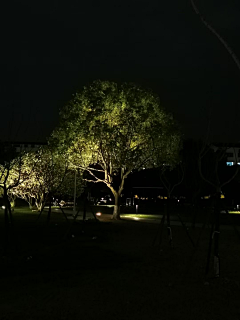 祺轩妈妈采集到照树灯素材