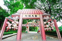 翎君采集到打卡