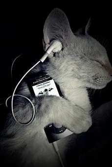 可爱卡通西瓜创意iphone手机壁纸 夏季清凉手机图片_可爱可爱卡通西瓜创意iphone手机壁纸 夏季清凉手机图片