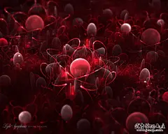 高清炫彩壁纸[50]